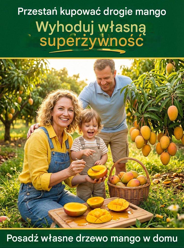 [1–2 metų rezultatai] Nykštukiniai skiepyti mango daigai be GMO-LT