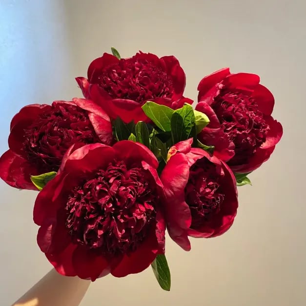 🔥PASKUTINĖ DIENA 45% NUOLAIDA🌺GĖLIŲ KARALIENĖ - DVIGUBA PUTŲ FORMA-LT