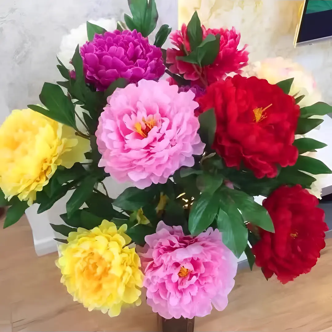 🌸 Διπλά αναρριχώμενη παιώνια, ένα ανθεκτικό στον παγετό πολυετές φυτό κήπου για εσωτερική και εξωτερική ομορφιά-GR