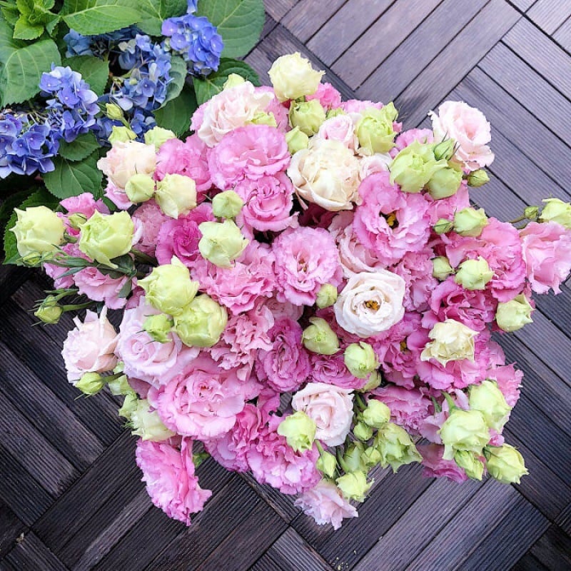 🔥Zadnji dan prodaje💝Eustoma Thornless Rose💐Semena Lisianthusa-SI