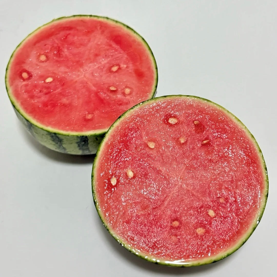 Tenkošupné semienka melóna 🍉-SK