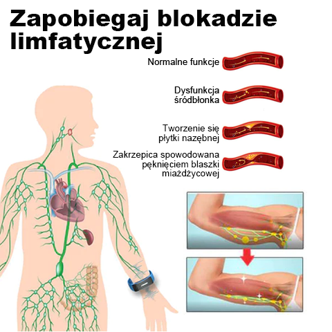 🎁 Ζώνες υπερήχων για απώλεια λίπους και αποτοξίνωση-GR