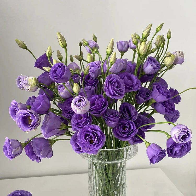 🔥Τελευταία μέρα πώλησης💝Eustoma Thornless Rose💐Σπόροι Lisianthus-GR