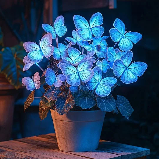 💥 Νέες Μπιγκόνιες 🦋 Σπόροι Μπιγκόνιας Πεταλούδας 🌱 Μπονσάι όπως δεν έχετε ξαναδεί-GR