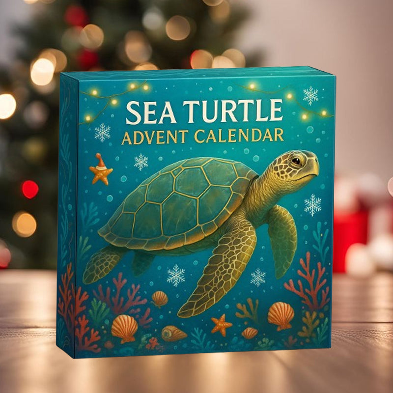🌊🐢 Adventni koledar morskih želv 2025-SI