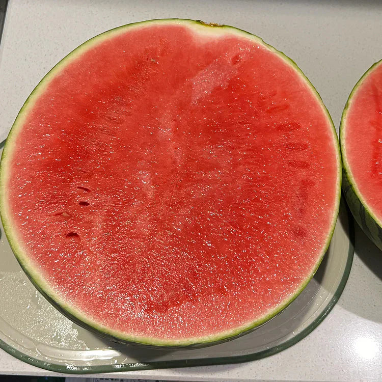 🍉Zgodnjepomladanska rdeča žadasta lubenica – sladka lubenica, ki bo navdušila vso družino-SI