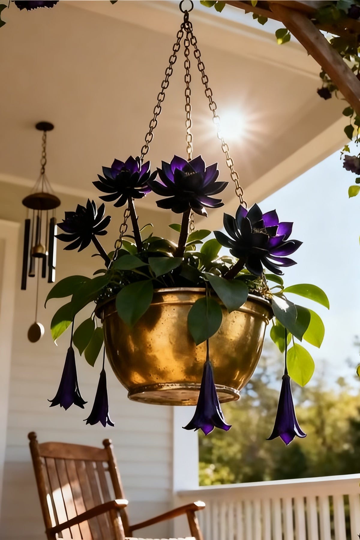 🌌💜 Senčni lotos – redka lepotica na vašem vrtu🌸-SI