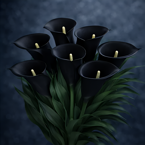 🌷Paslaptingoji pašvaistė kalija-LT