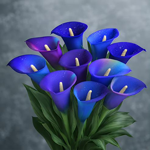 🌷Skrivnostna aurora kala-SI
