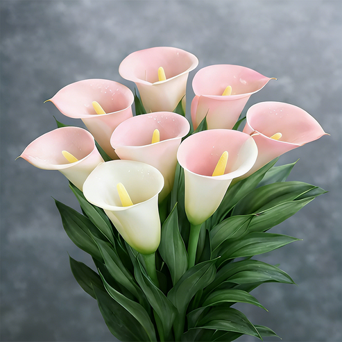 🌷Skrivnostna aurora kala-SI
