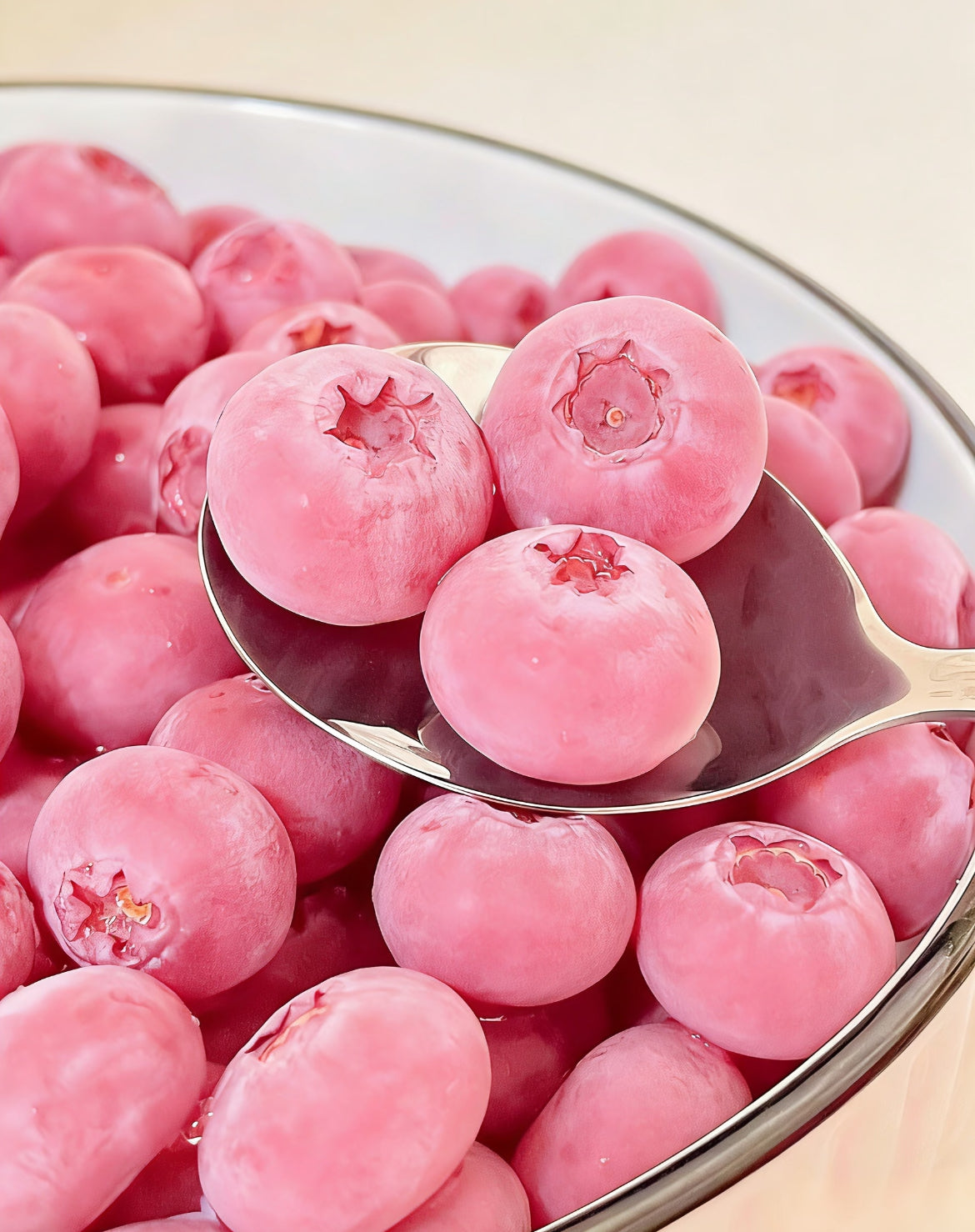 Σπόροι Pink Bliss Blueberry – Διπλή Γλυκύτητα--GR