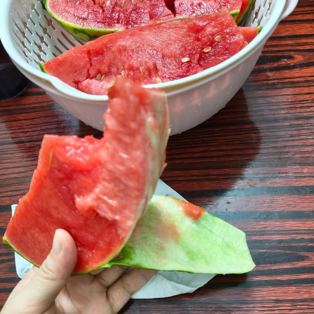 Tanko lupinasta semena lubenice 🍉-SI