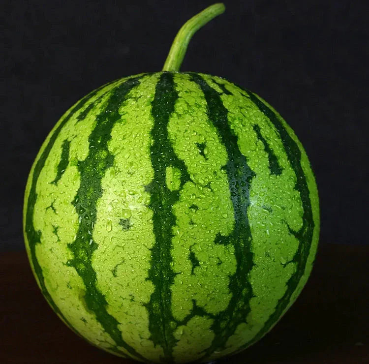 🍉Zgodnjepomladanska rdeča žadasta lubenica – sladka lubenica, ki bo navdušila vso družino-SI