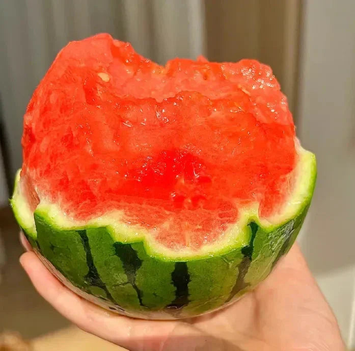 🍉Zgodnjepomladanska rdeča žadasta lubenica – sladka lubenica, ki bo navdušila vso družino-SI