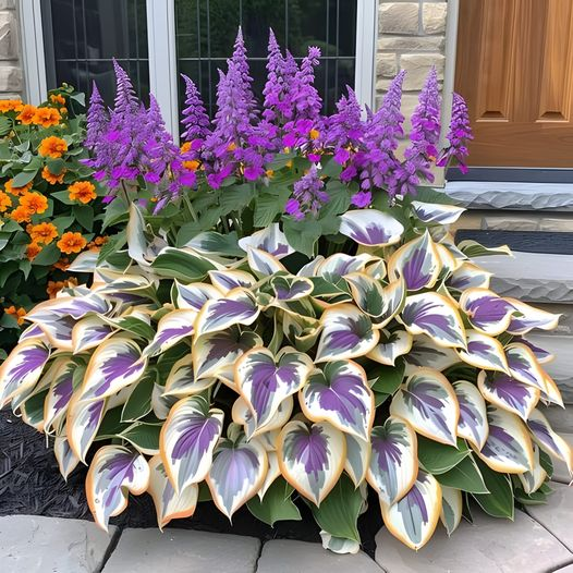 Hardy Beauty: Λουλούδια Hosta ανθεκτικά στη σκιά και το κρύο-GR
