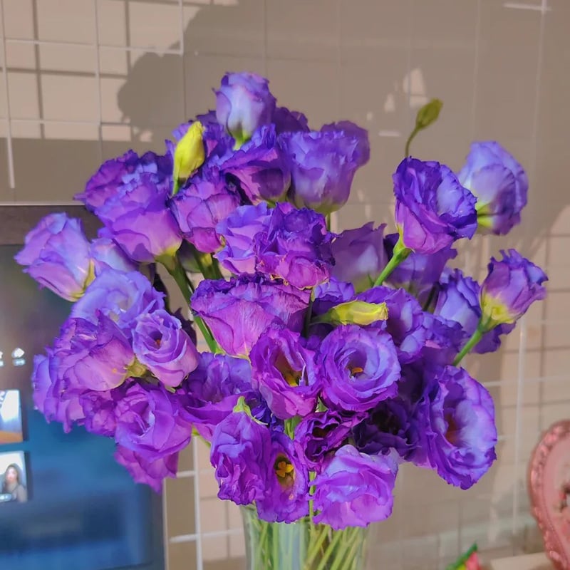 🔥Paskutinė išpardavimo diena💝Eustoma bespygliuočių rožė💐Lisianthus sėklos-LT