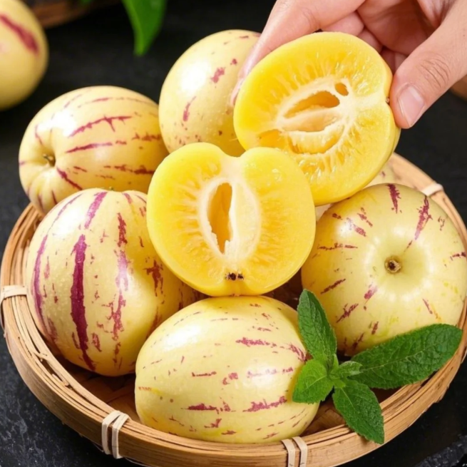 Ženšenio vaisių pepino meliono sėklos-Solanum Muricatum-LT