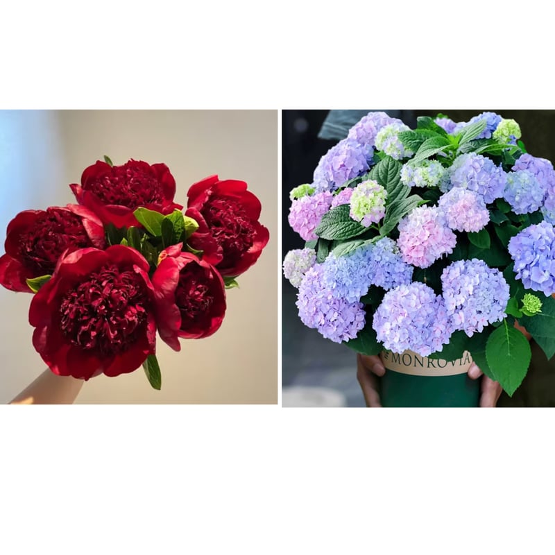 🔥PASKUTINĖ DIENA 45% NUOLAIDA🌺GĖLIŲ KARALIENĖ - DVIGUBA PUTŲ FORMA-LT