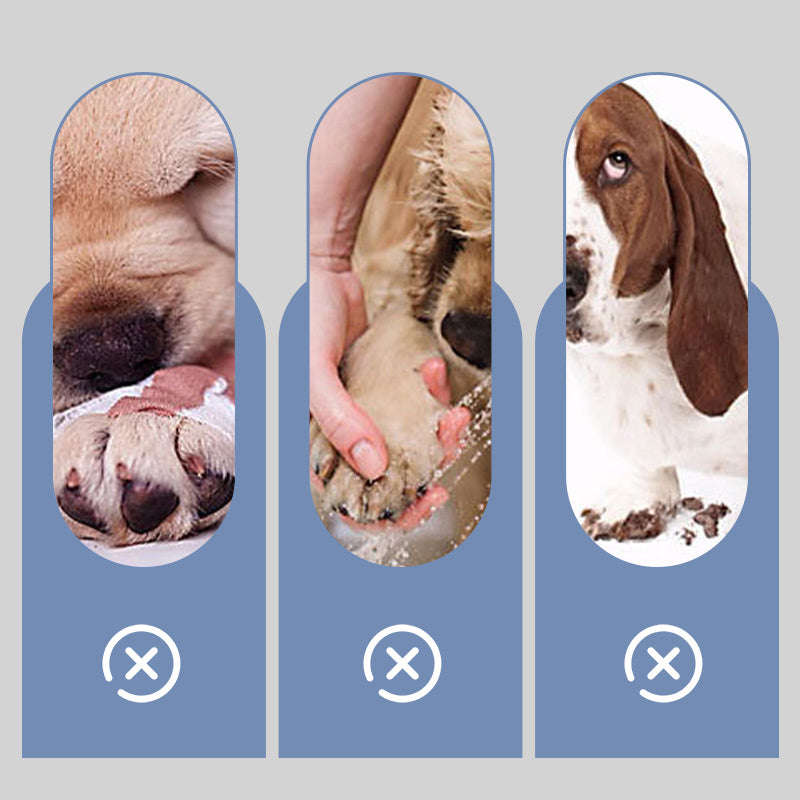 🐶2 para nedrsečih vodoodpornih pasjih nogavic-SI