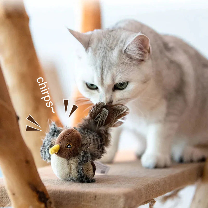 🐱 POSODOBLJENA IGRAČA ZA MAČKE Z LIČCI🐦-SI