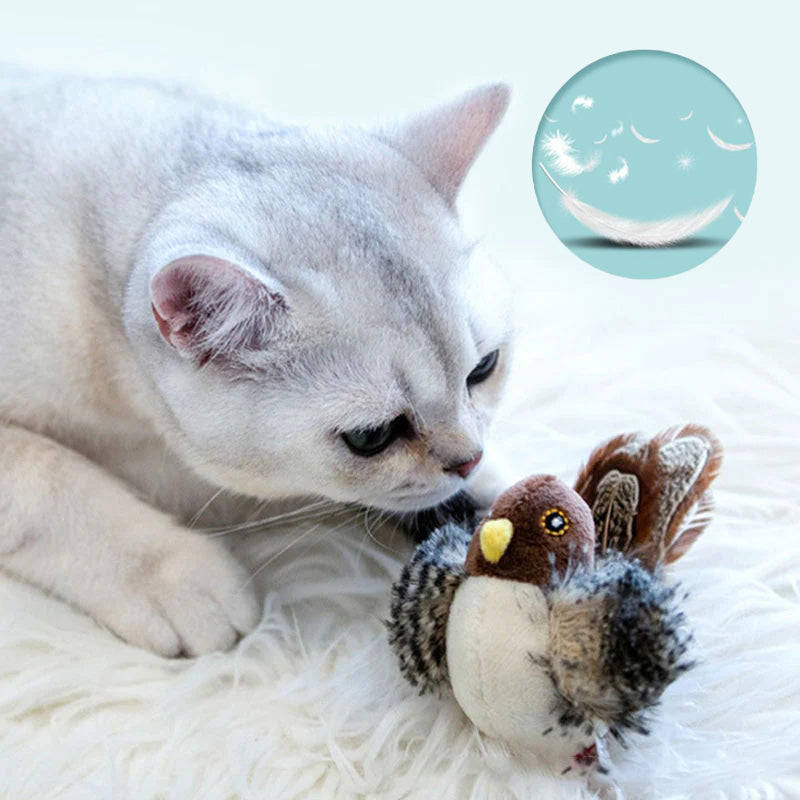 🐱 POSODOBLJENA IGRAČA ZA MAČKE Z LIČCI🐦-SI