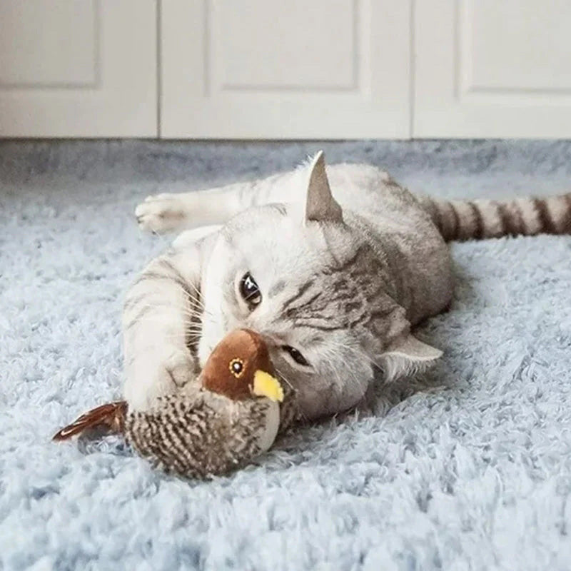 🐱 POSODOBLJENA IGRAČA ZA MAČKE Z LIČCI🐦-SI