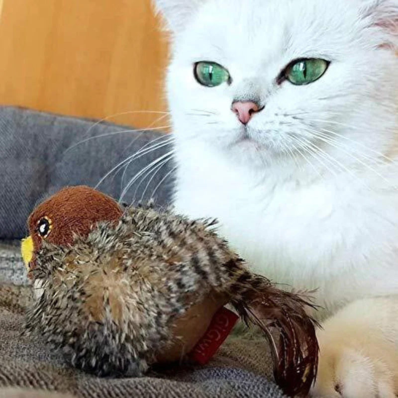 🐱 POSODOBLJENA IGRAČA ZA MAČKE Z LIČCI🐦-SI