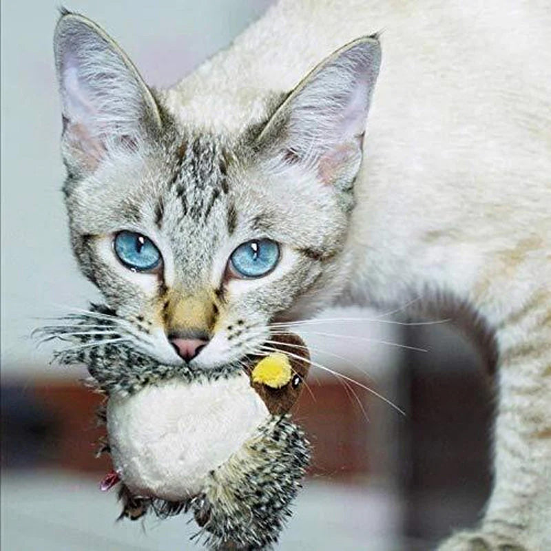 🐱 POSODOBLJENA IGRAČA ZA MAČKE Z LIČCI🐦-SI
