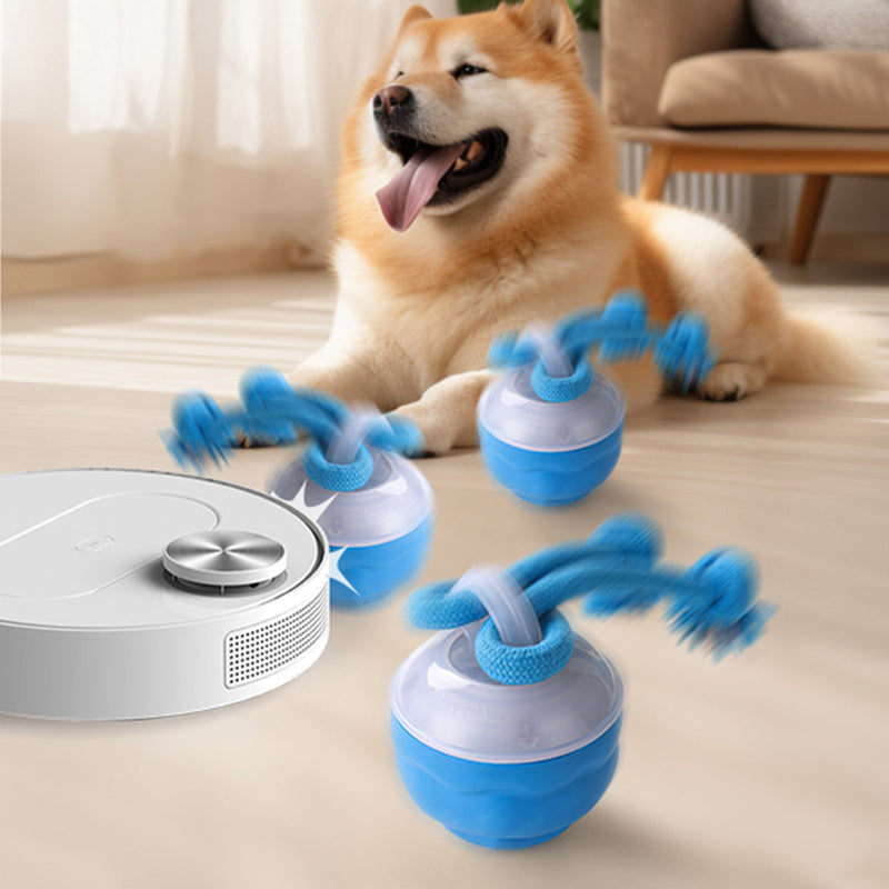 🐶Interaktivna elektronska pomirjujoča žoga za hišne ljubljenčke-SI