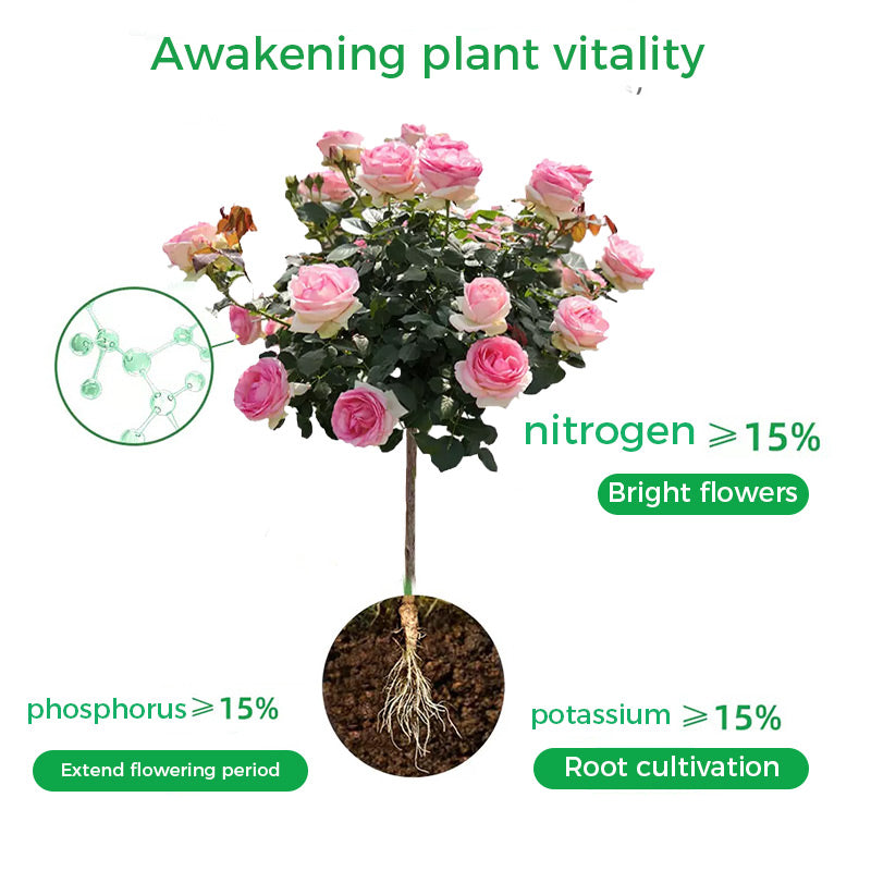 🌱Prášok na podporu kvetu | Rýchly rast koreňov + väčšie kvety!🌸-SK