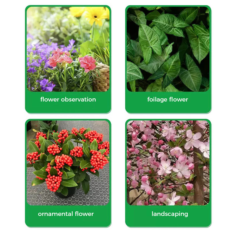 🌱Prašek za pospeševanje cvetenja | Hitra rast korenin + večji cvetovi!🌸-SI